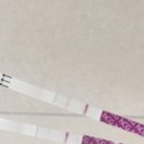 메디파크산부인과의원 이미지