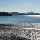 웅도 어촌체험마을 이미지