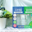 솔잎기획