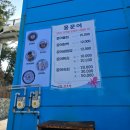 (강원도 삼척) 장호항 문어맛집 홍문어 방문후기
