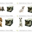 프리미엄캔넬 Daum카페