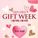 버커루대전 이미지
