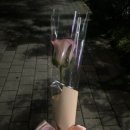 고양성모안과의원 이미지