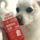 헬로펫 | 강아지심장영양제 헬로마이펫 멍뭉케어 솔직후기