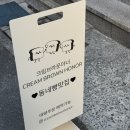 대전 선화동 크림브라운아너 촉촉한 크림빵 소금빵이 맛있는 저렴한 신상 대전빵맛집