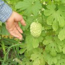 수호농장 이미지