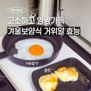 이천 대박 기러기 농장 | 겨울보양식 거위알 효능, 계란말이·계란후라이 (낭만기러기)