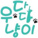 우다다 냥이