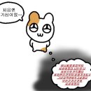 핑핑