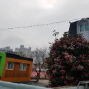 기쁨고속관광 이미지