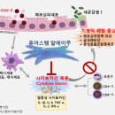 (주)강스템바이오텍 이미지