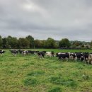 소보소농장 이미지