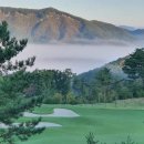 비젼21행정사 이미지