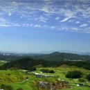 더케이소피아그린(주) 네이버블로그