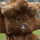얘들아 얜 도대체 어디 마스코트냐..? 이미지