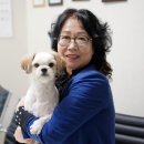 (주)너울정보 이미지