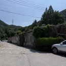 도일목장 네이버블로그