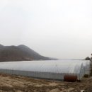 부농농장 이미지