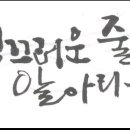 돈텔마마 이미지