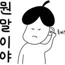 한중하이