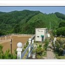 승마펜션 Daum카페