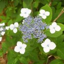 경상남도 수목원 이미지