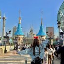 김세연 카카오 검색결과