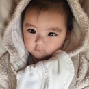 형제사슴목장 이미지