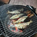 석모도 장곳항 흰 다리 새우와 백합, 전어 구매한 후기
