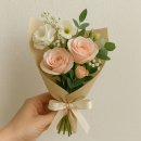 송이로 이미지