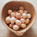 오골계마을 이미지