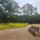 일신보건진료소 이미지