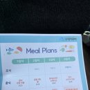 밸마운트4 | [밴쿠버/3일차] 오케이투어 록키투어 3박4일 - 1일차 솔직후기