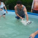 오시나래 이미지