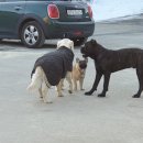 승마클럽 영풍 이미지