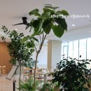 이탈리안골프존 이미지