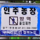 인주농장 이미지