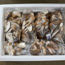 송화농장2 이미지