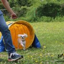 또찌PC 네이버블로그