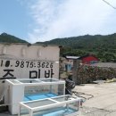 당숲 느티나무 앞 이미지