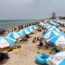 경포의휴일 이미지