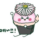 연정풀펜션