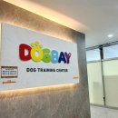 도그베이 미사점 이미지