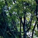 의료법인 명진의료재단 이미지