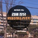 롯데애견 | 롯데호텔앤리조트 김해 방문 후기 (애견동반 가능)