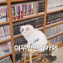 벌툰옥정 | 양주 옥정 만화카페 고양이가 있는 여우별만화카페
