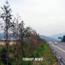 24호선 국도변 이미지
