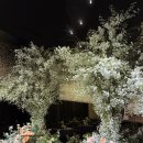 아시아드시티웨딩홀 교통섬 | 부산 아시아드시티 웨딩홀 방문 후기 및 고흐홀 계약완료