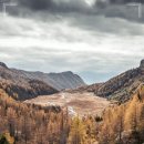 THE웃는치과의원 이미지