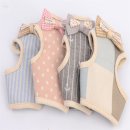 프라임 애견 이미지